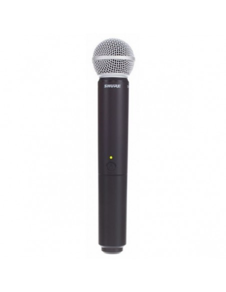  Shure BLX24/Beta58 M17