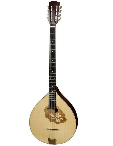 Bouzouki Hora Reghin