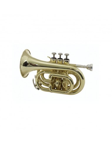 DIMAVERY TP-300 Bb Pocket Trumpet