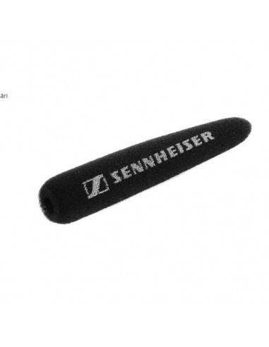 Sennheiser MZW B