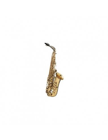 SELMER SE-A2L GOLDLAC SA80 II