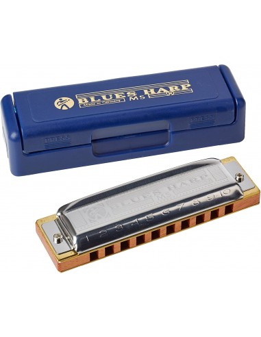 Muzicuta Hohner Blues Harp A