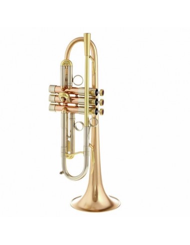 Trompeta Adams A4 Gold Brass 040...