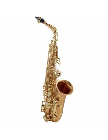 Yanagisawa A-WO2 Alto Sax