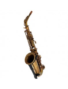 Schagerl Alto Sax 66FV-EC