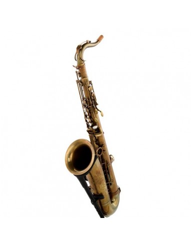 Schagerl Tenor Sax 66FV-EC