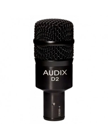 AUDIX D2 Microfon de instrument