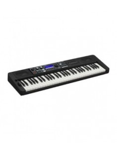 Casio CT-S500