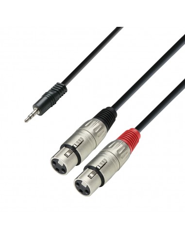 Adam Hall Cable Jack 3.5mm - 2 XLR...