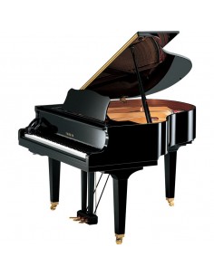 Yamaha GB1K SC2 PE