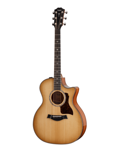 Taylor 514ce Urban Ironbark