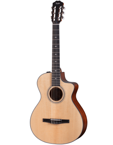 Taylor 312ce-N Nylon