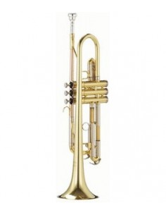 Parrot 6416L Bb trumpet