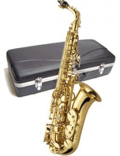 Saxofon Alto J Michael AL 500