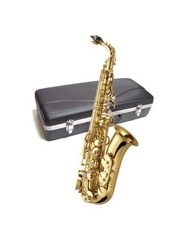 Saxofon Alto J Michael AL 500