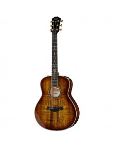 Taylor GT K21e