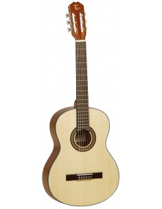 Tanglewood TCMR 2