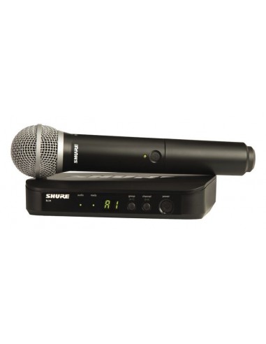 Shure BLX24/PG58