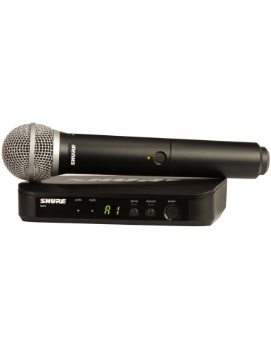 Shure BLX24/BETA58 k14