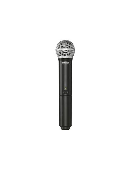 Shure BLX24/BETA58 k14