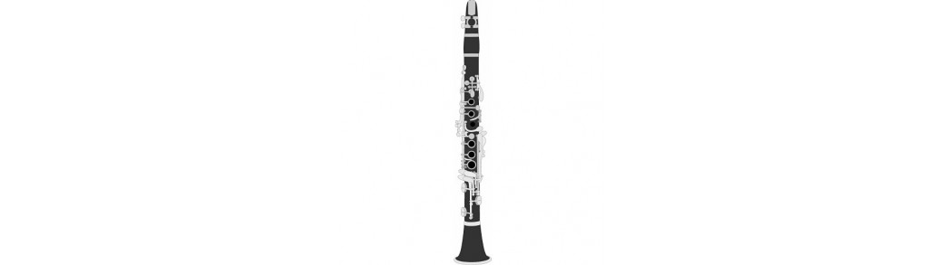 Magazinul Muzica @ Expert Music - Instrumente muzicale de suflat,profesionala,clarinete,model german