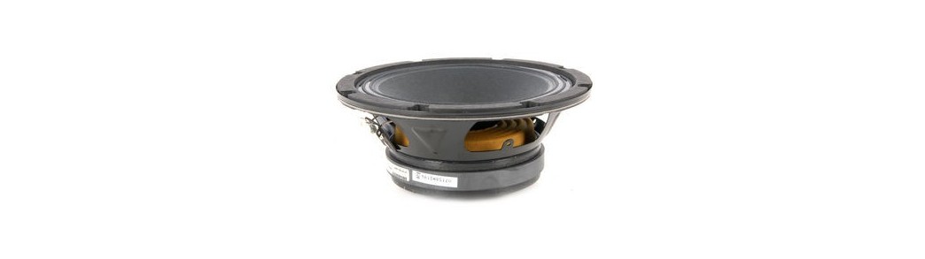 Expert Music @ Magazinul Muzica Suceava - Difuzoare profesionale 8 inch , pentru sateliti si subwoofwer